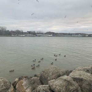 Meet your Posher, Suca